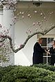 trump-whohope