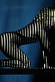 jlo-amasperf