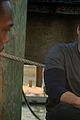 falcon-trailer