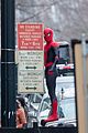 spider-set-atlanta