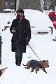 justin-theroux-dog-snow