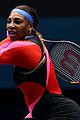 williams-aus