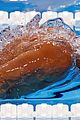 lochte-fails
