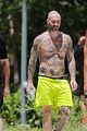 levine-tat