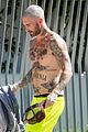 levine-tat