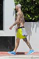 levine-tat