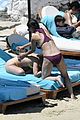 willis-purple
