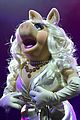criss-muppets