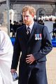 harry-afghan