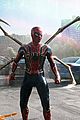 spider-teasert
