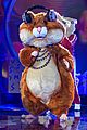 hamster-who