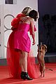 kate-dog