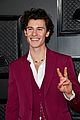 shawn-mendes-spout-podcast