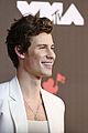 shawn-vmas