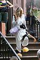 sjp-carried