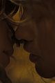 dune-end