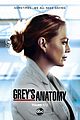 greys-end