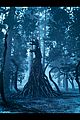 learn-what-a-leshen-is-the-witcher