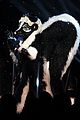 skunk-gallery-masked