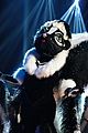 skunk-gallery-masked