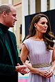 william-kate-earthshot