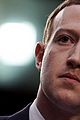 zuckerberg-lost