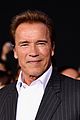 arnold-crash