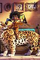 encanto-bruno