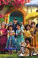 encanto-bruno