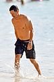 mark-abs