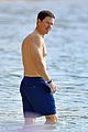 mark-abs