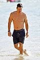 mark-abs