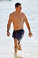 mark-abs
