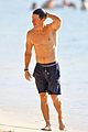 mark-abs