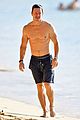 mark-abs