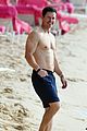 mark-abs