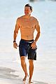 mark-abs