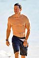 mark-abs