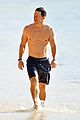 mark-abs