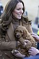 middleton-puppy