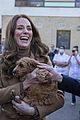 middleton-puppy