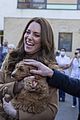 middleton-puppy
