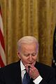 biden-stupid