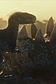 world-trailer