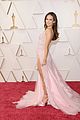 lily-oscarscarpet
