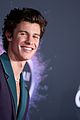 shawn-dont