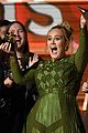 adele-didnt