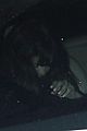 selena-martin