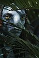 avatar-trailer
