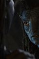 avatar-trailer
